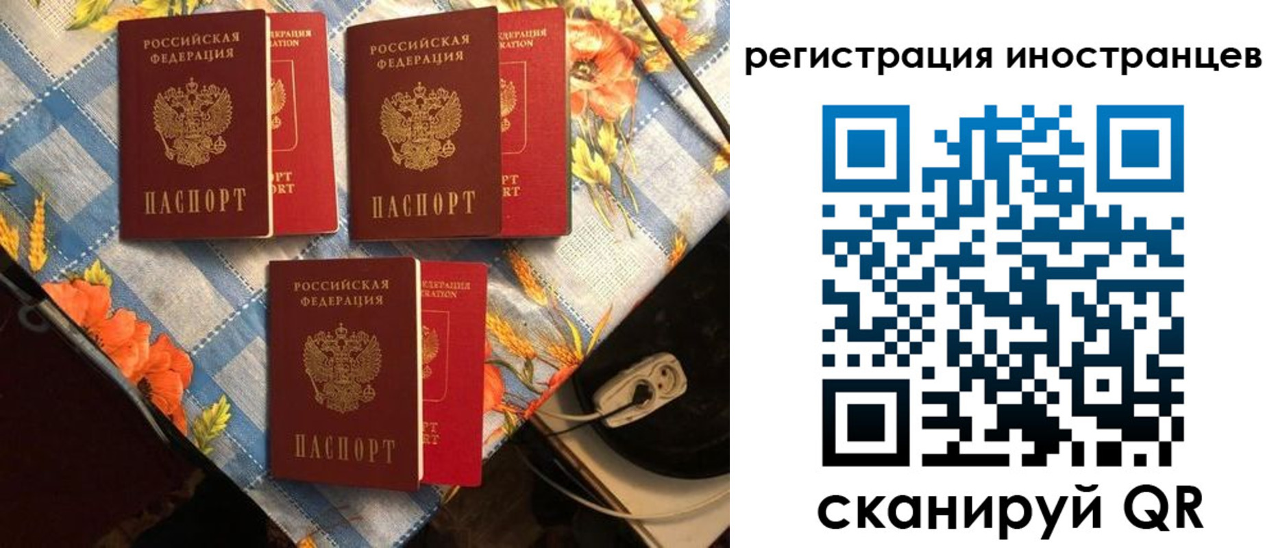прописка поиск в Кашине